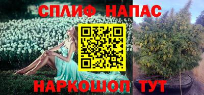 ПСИЛОЦИБИНОВЫЕ ГРИБЫ Гагарин