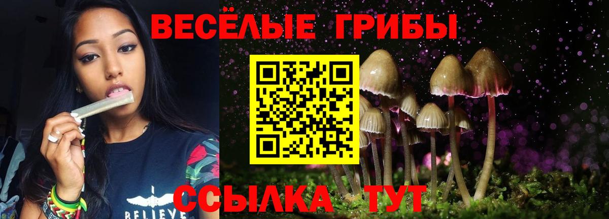 Псилоцибиновые грибы ЛСД Нерюнгри